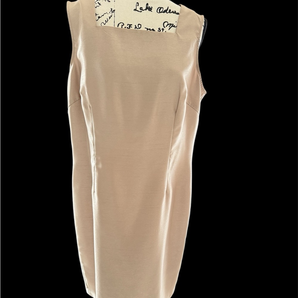 Dana Kay Dress 14